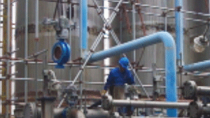 08.gif
